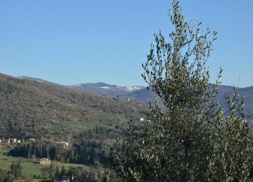 Villa in Tuscany With Pool Near Cortona