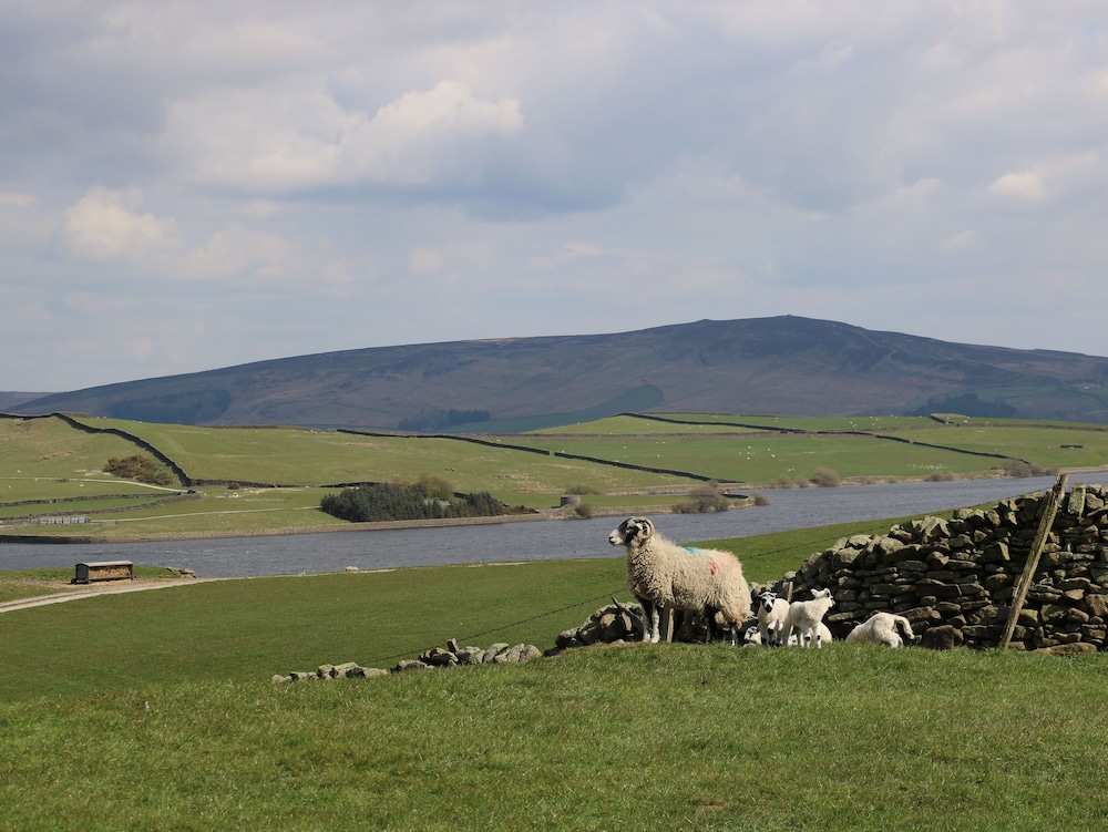 Moor View