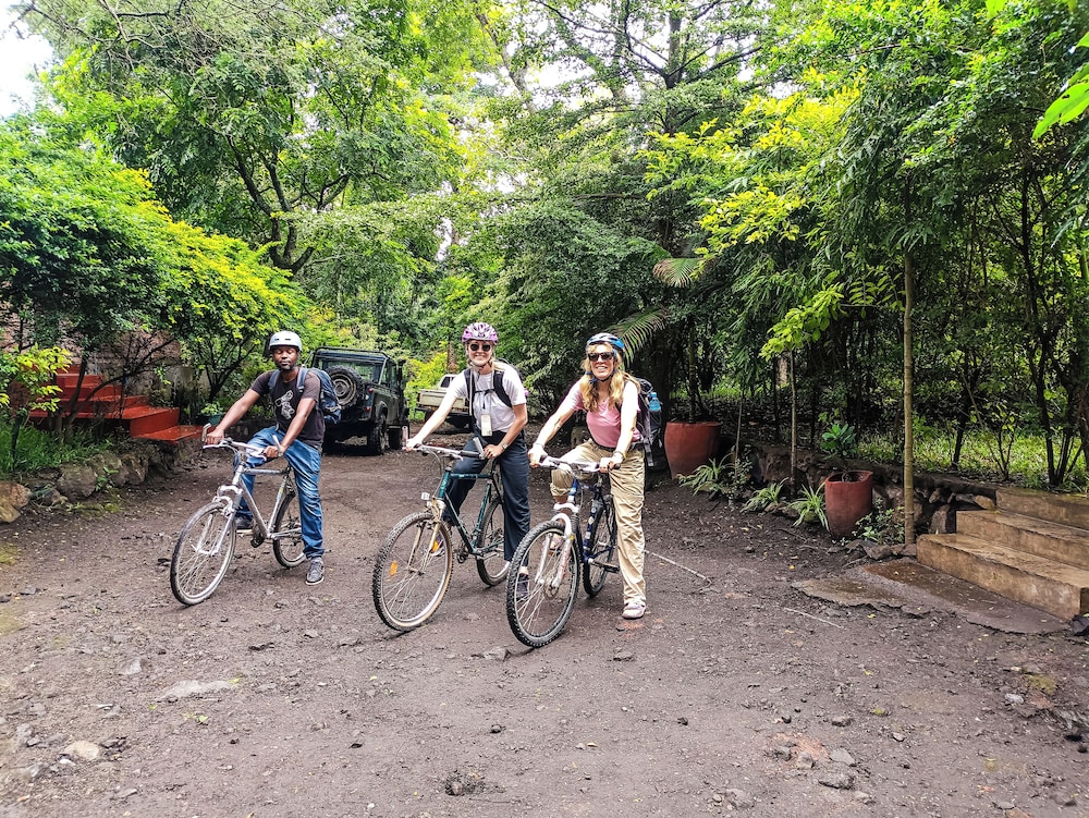 Shamba Hostel