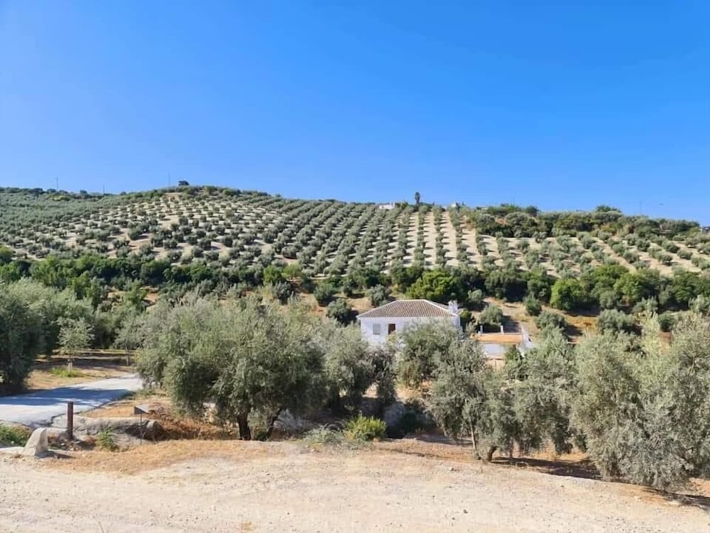 Farmhouse La Polilla photo 5