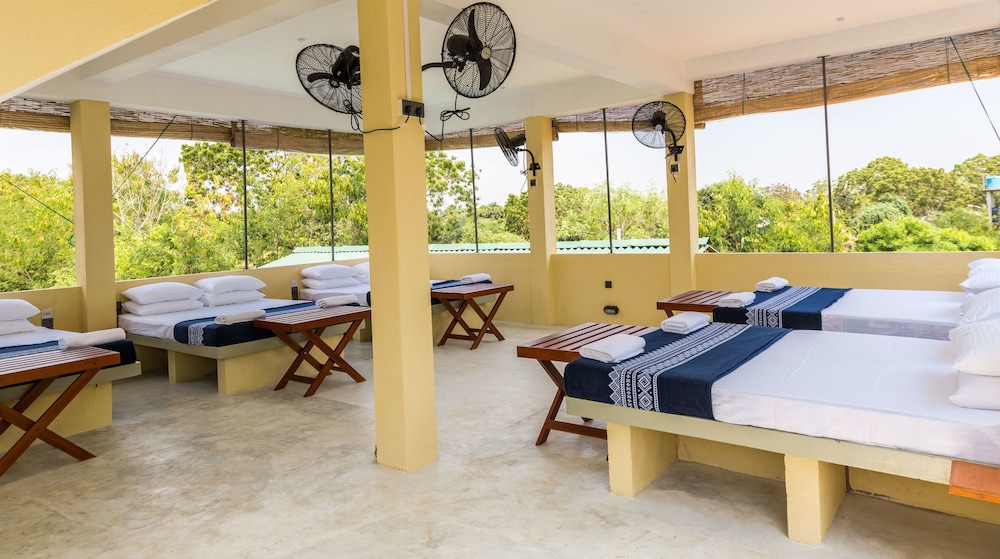 Forestville Yala