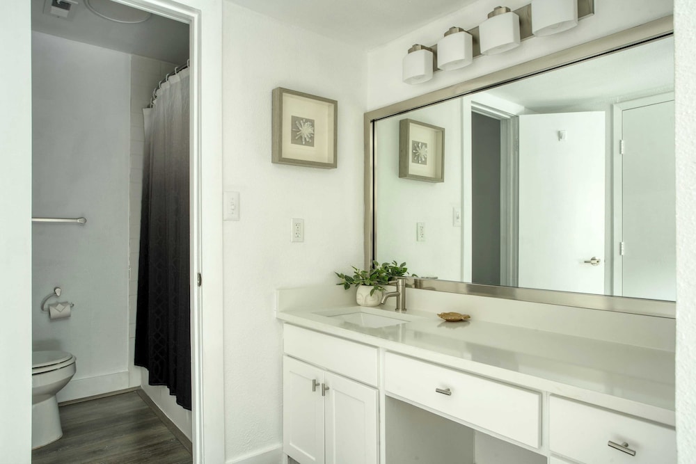 Austin Escape, Prime Location + Shared Yard Oasis Fairlawn Buyout by Avantstay