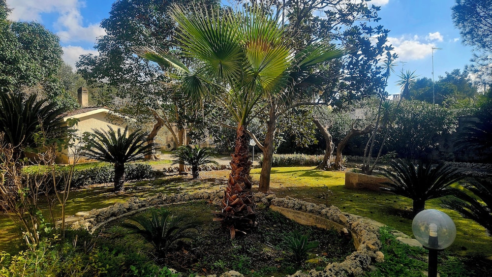 La Pineta