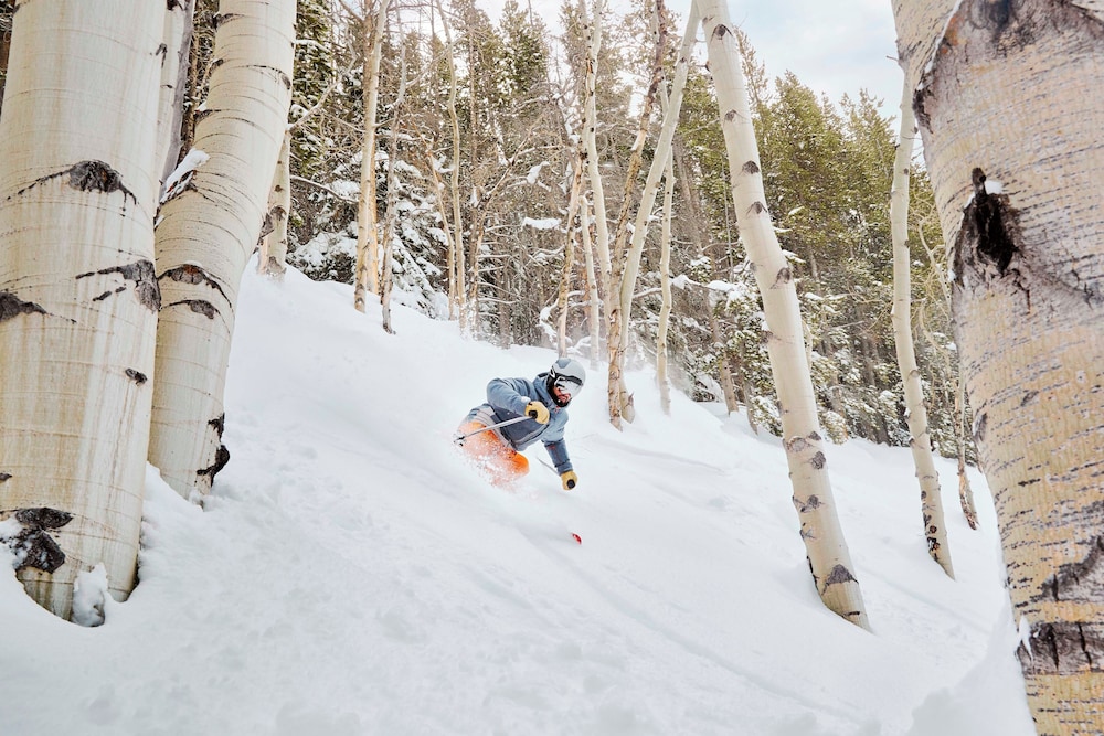 Vail Ski Resort