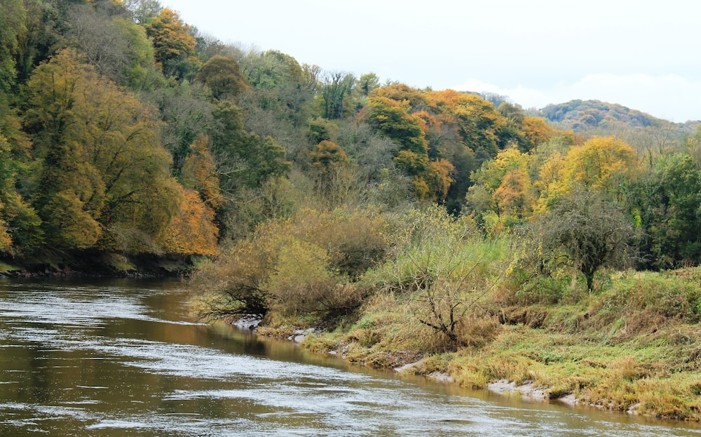 Wye Valley Hotel