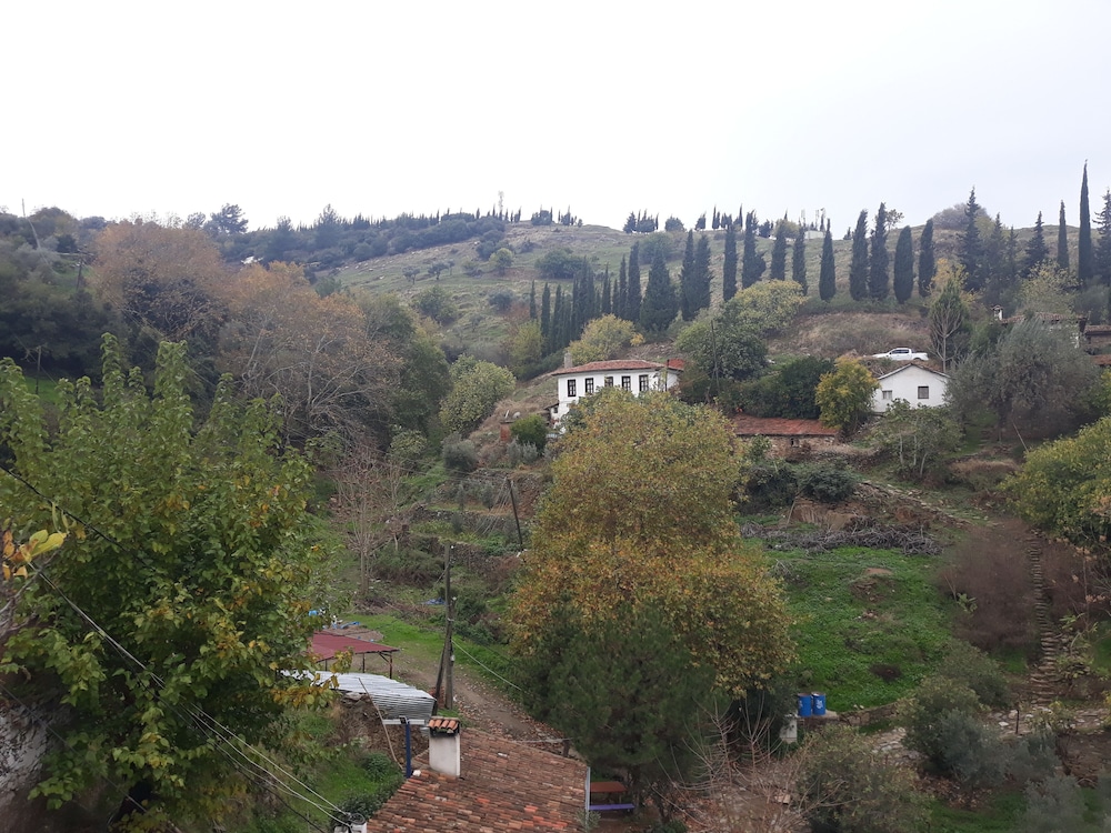 Sirince Dogadaki Evler