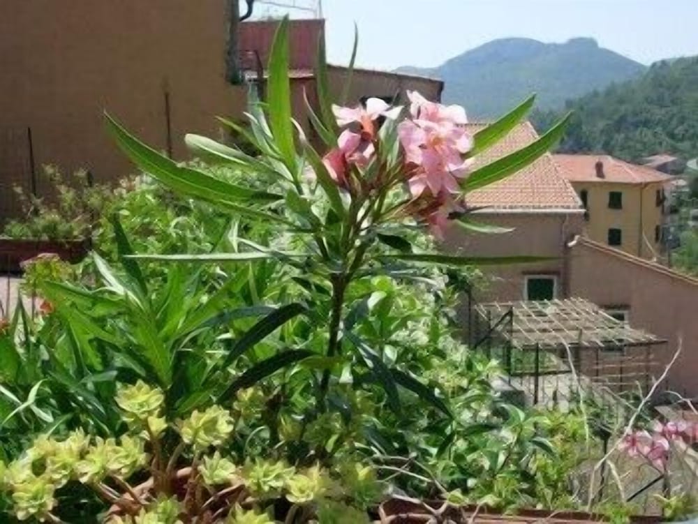 Albergo Locanda Borgo Antico view 2