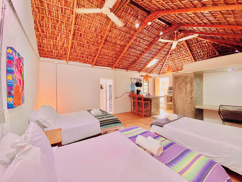 Perro Surfero Hotel Boutique - Todos Santos, BCS