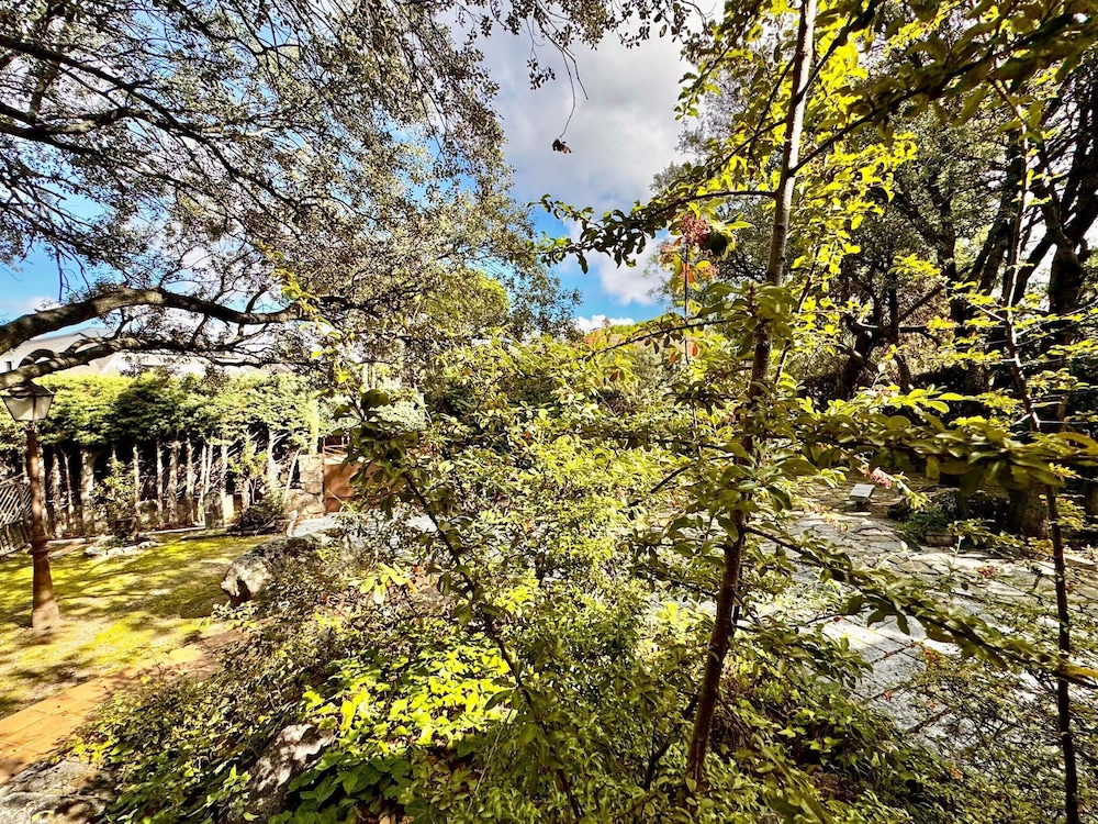 Rural Apartment With Private Garden
