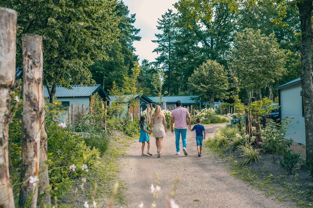 Forest Chalet Escape