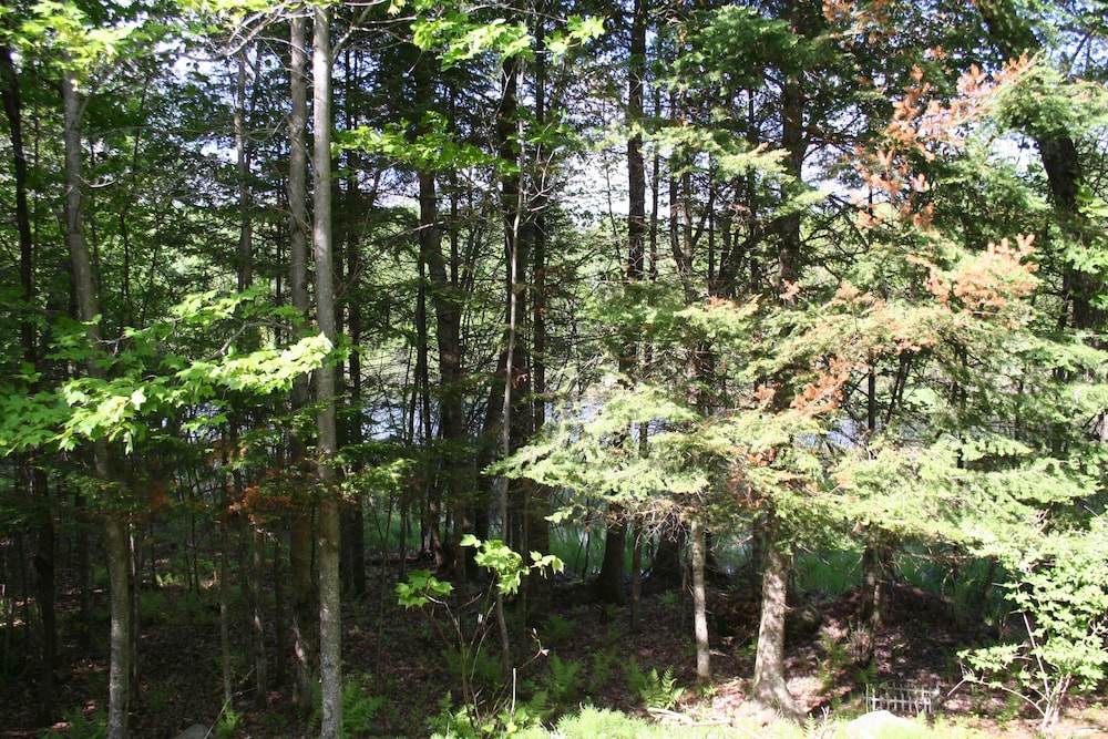 La Chaumiere de l' Anse