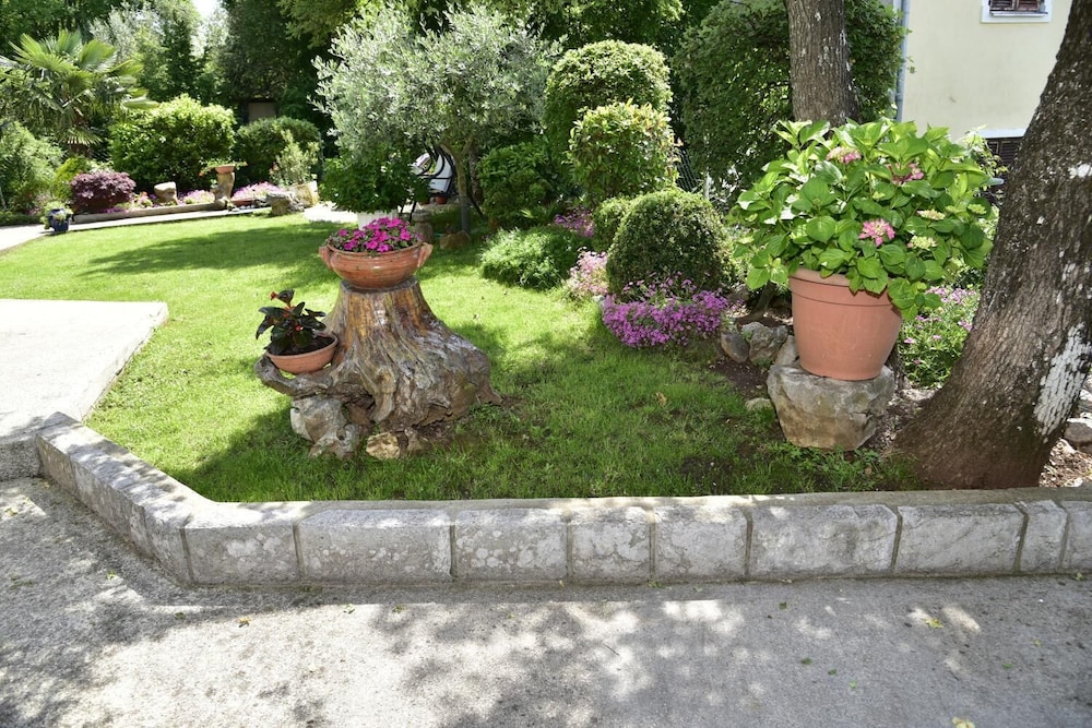 Apartment Blumen Oase view 5