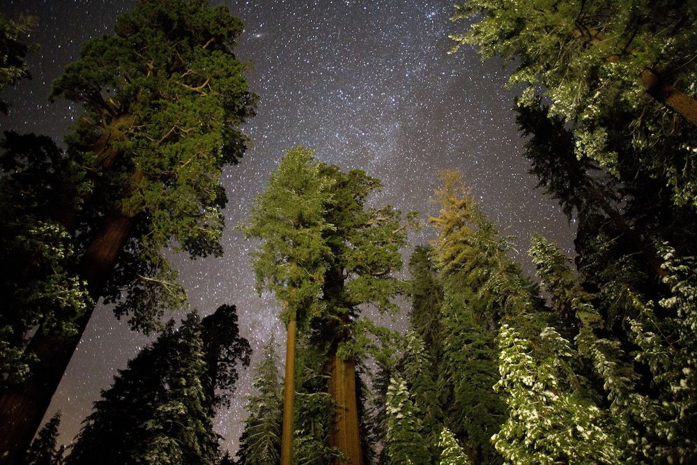 Wuksachi Lodge - Property Image 10