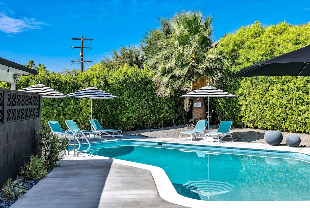 Bright & Harmonious Oasis