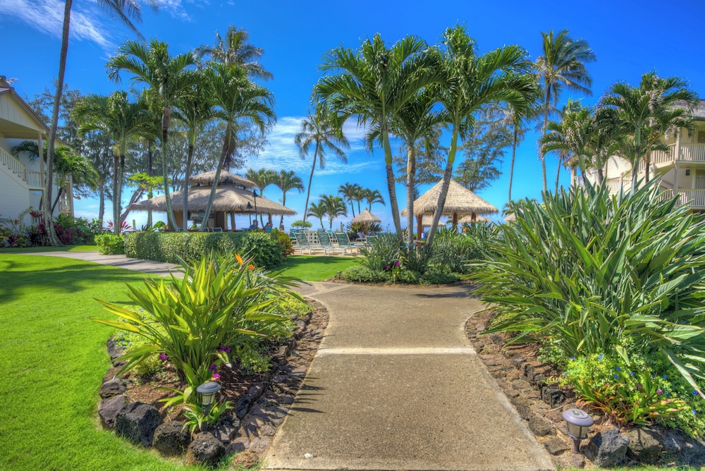 Islander on the Beach