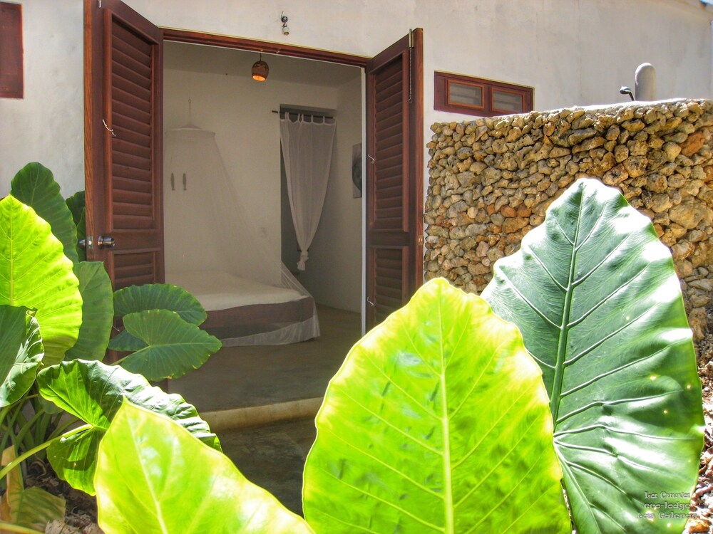 La Cueva Eco-Lodge