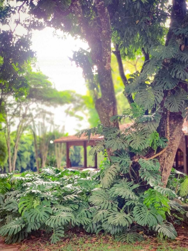 Hotel Fazenda Vale Formoso