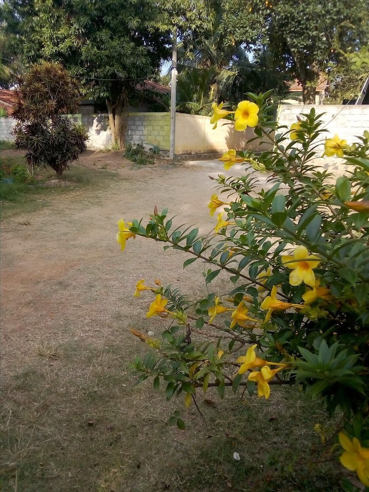 Saja Homestay view 5