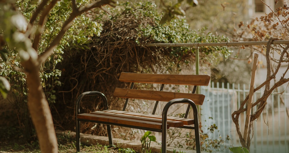 OliveTreeHostel, photo 23
