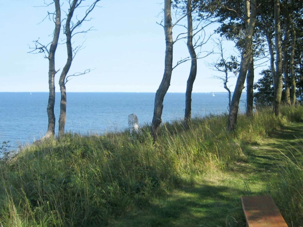 Photo 44