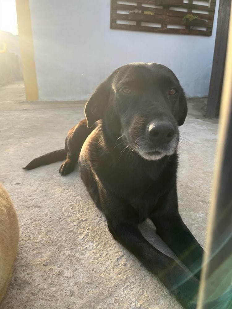 Maravilhoso Hotel - MaHô