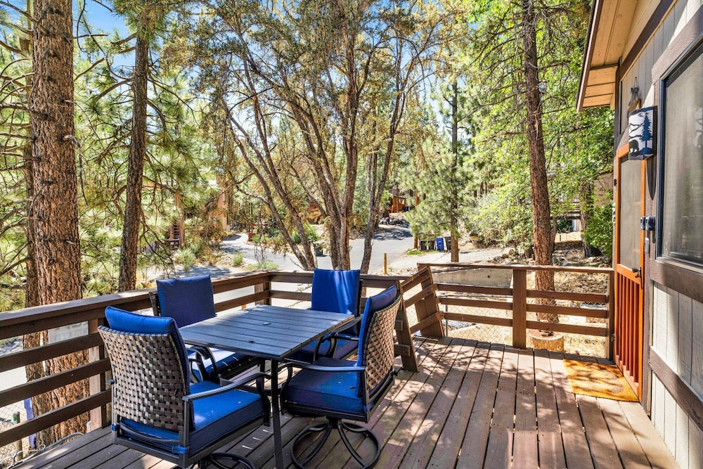 Bear Forest Cabin #2553