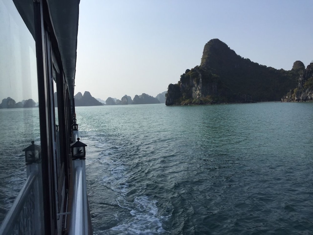 UniCharm Cruise