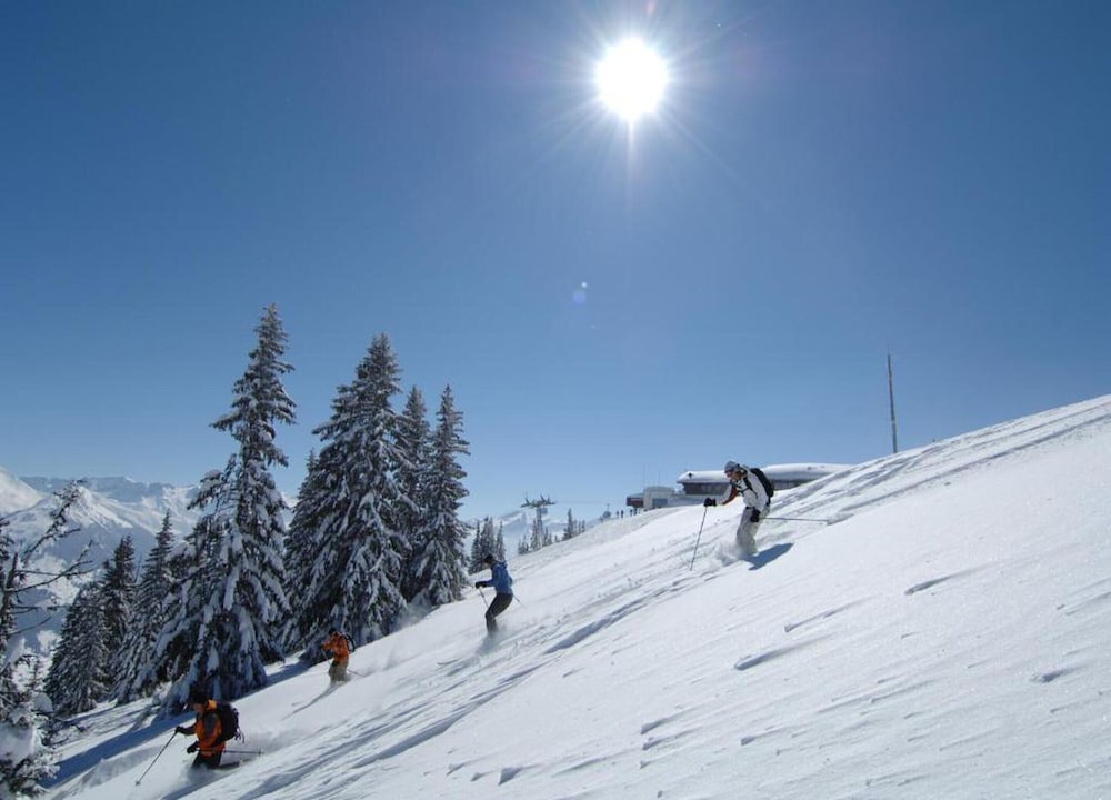 Contemporary Swiss Escape