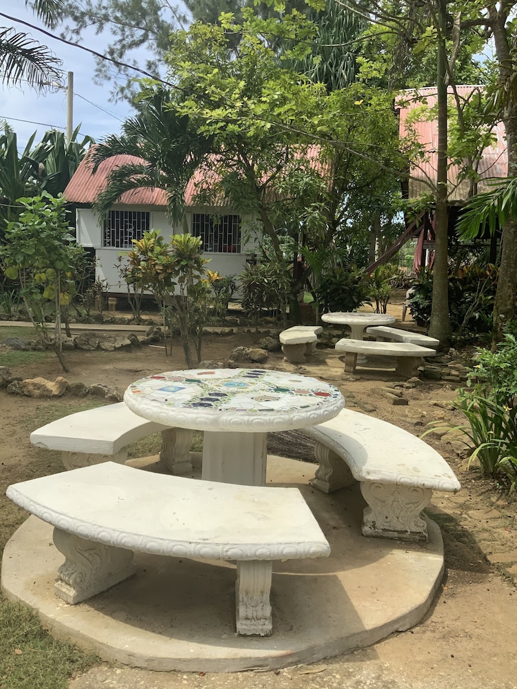 Yoga Dreams Negril
