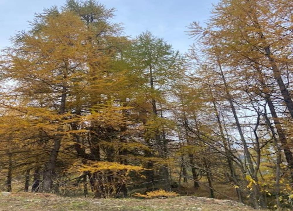 Chalet in Viroinval Near Nature Park