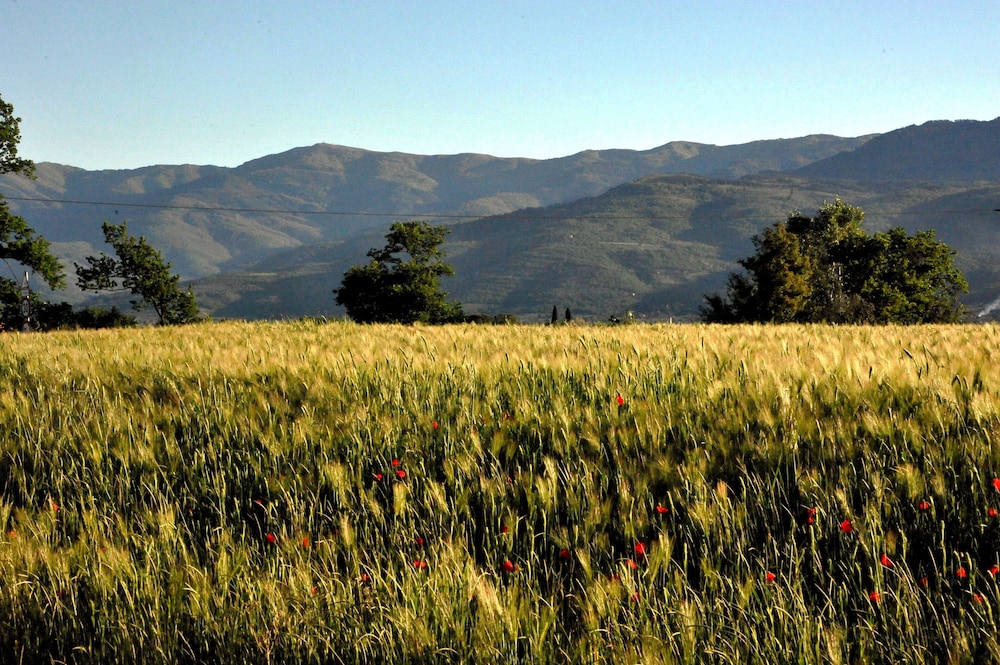 Il Pino Bioagricoltura