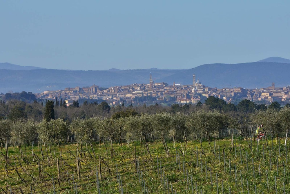 New Historic Tuscany Country House Retreat in a Vineyard Near Siena Villa Chiantissimo