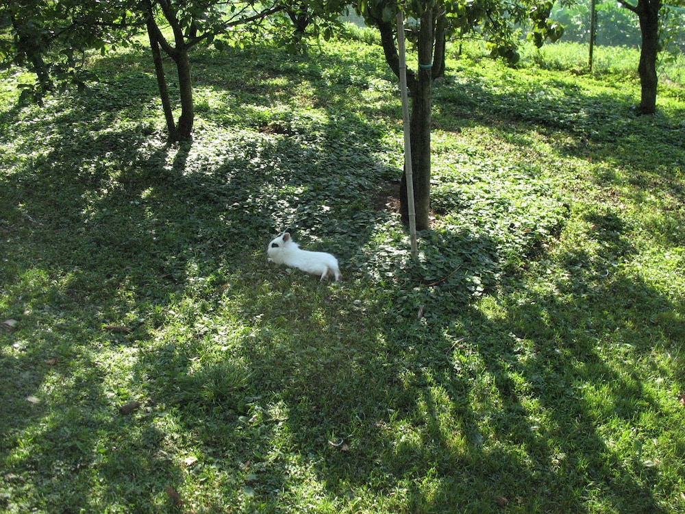 Campo di Cielo