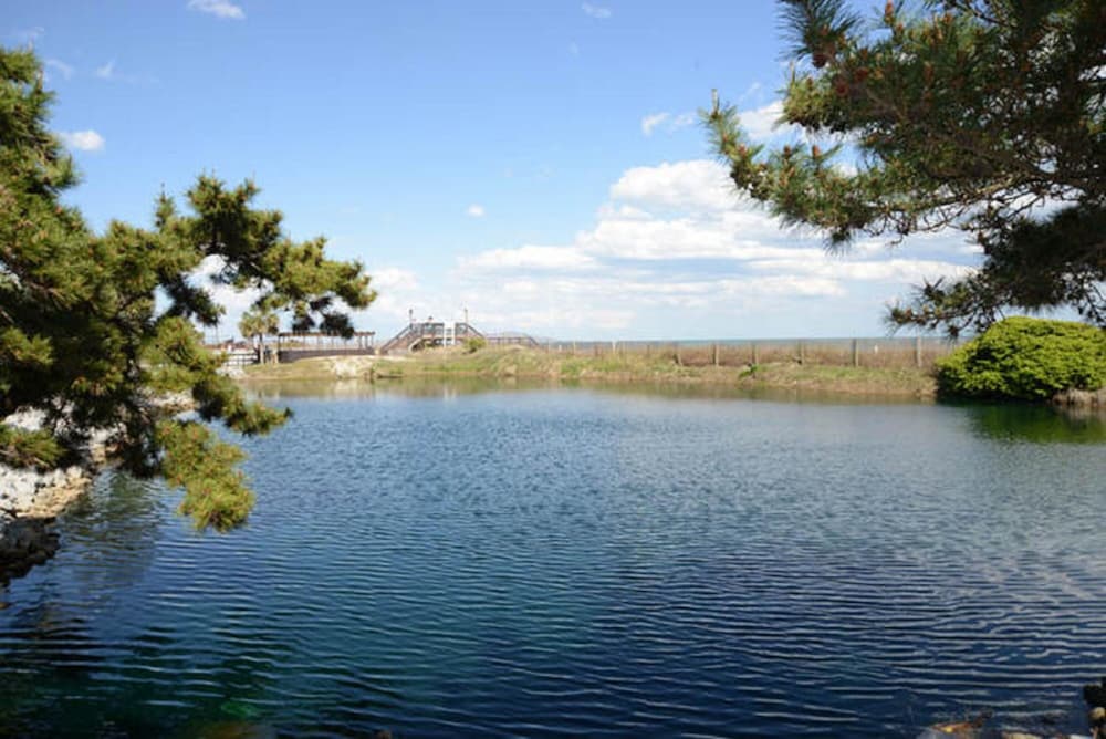 Photo 49