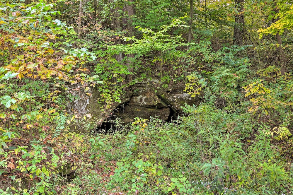 Photo 29