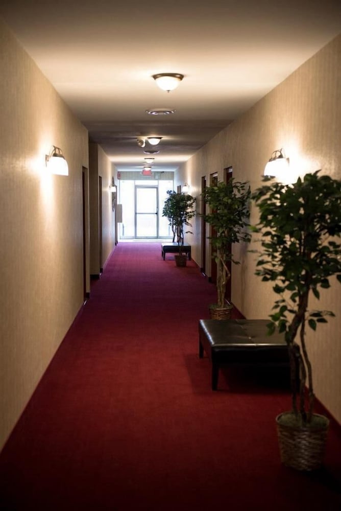Pacer Inn And Suites Delaware
