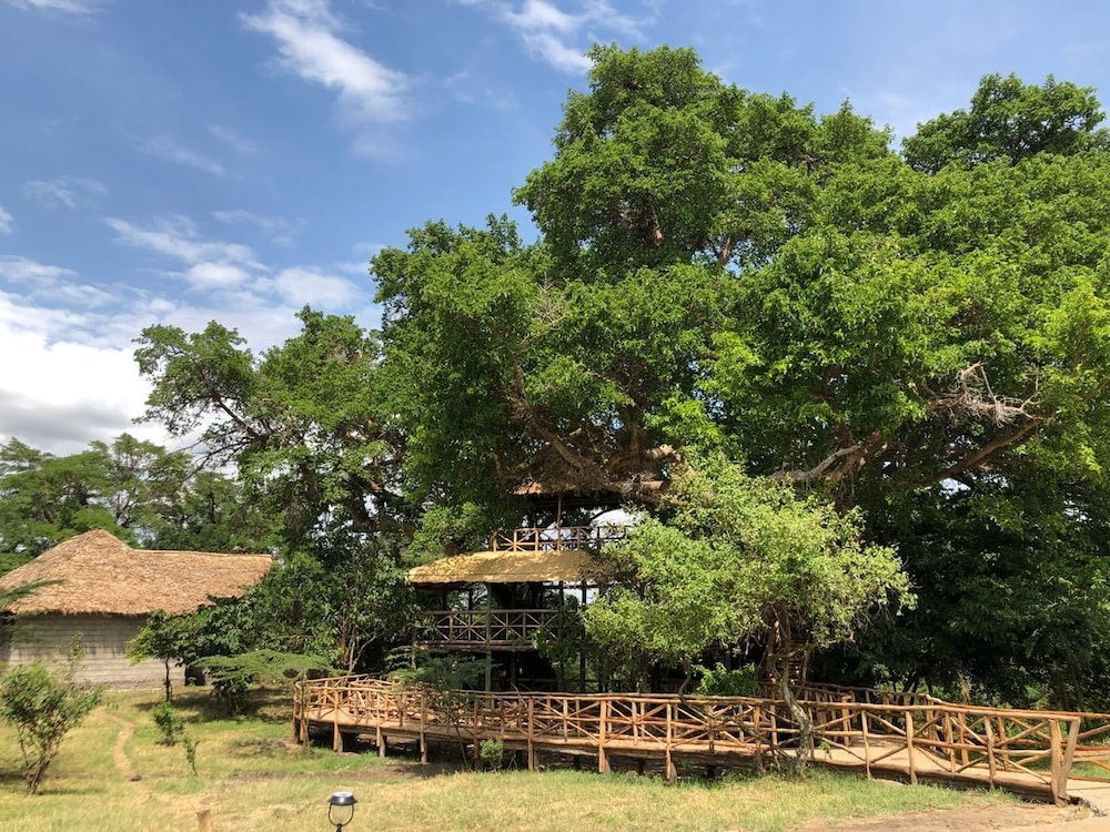 Mara Sweet Acacia Lodge