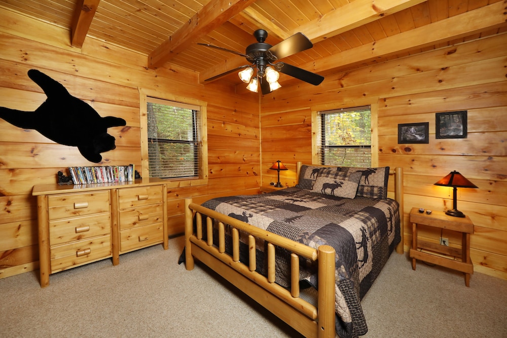 Black Bear Hibernation #2825 view 4