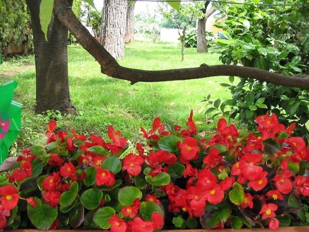 Photo 28