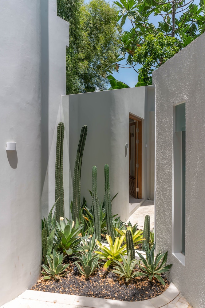 Villa Hawk