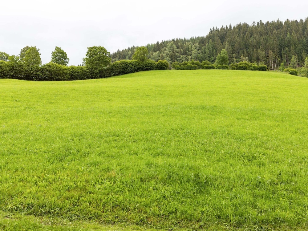 Stunning Apartment Near Forest in Mittersill
