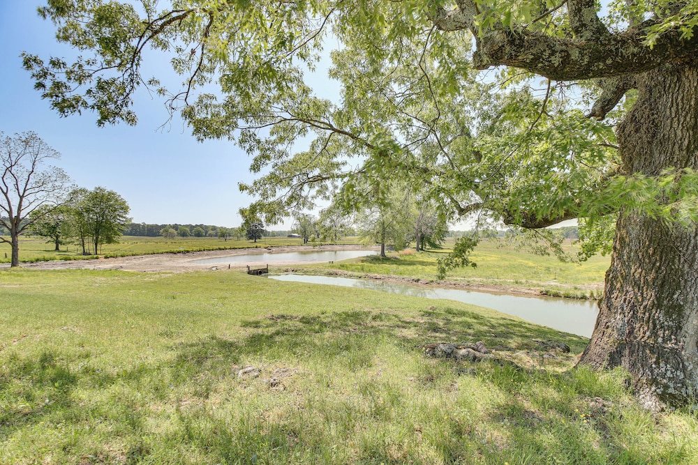 Fish, Swim & Tube: Okolona Studio w/ Pond Access