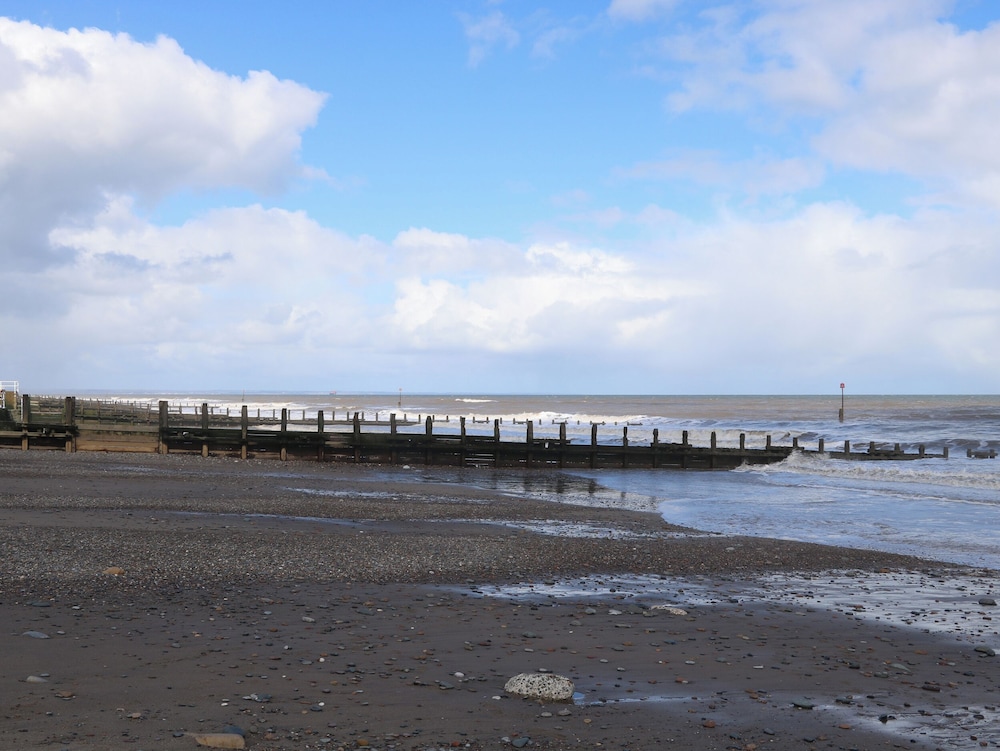 Driftwood