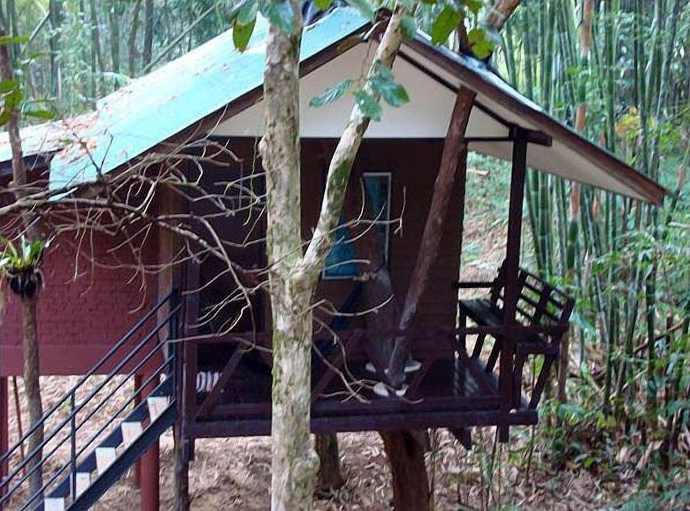 Khao Sok Tree House