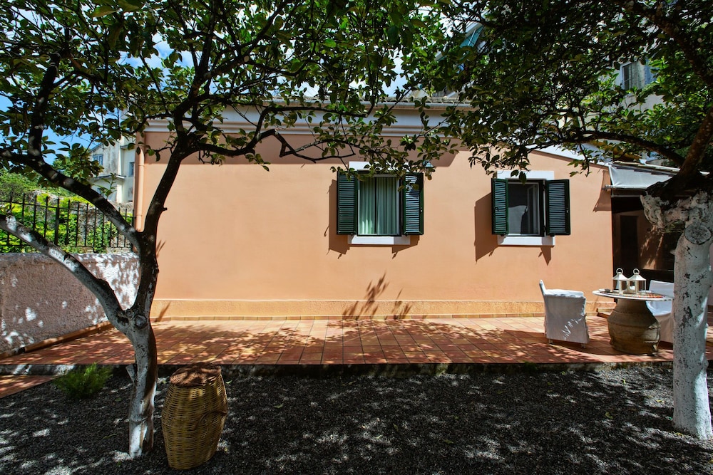 Photo 31