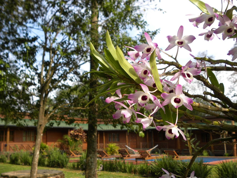 Hotel Posada 21 Oranges - Image 1