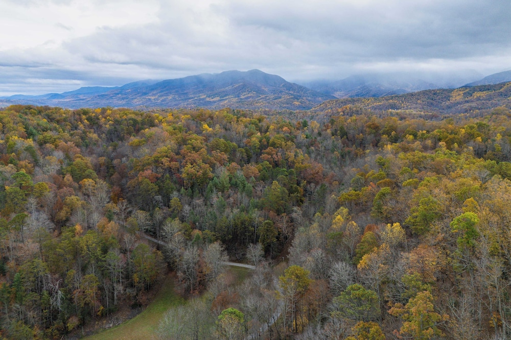 Artful Craftsman Hot Tub, Firepit, and Pond Gatlinburg + National Parks