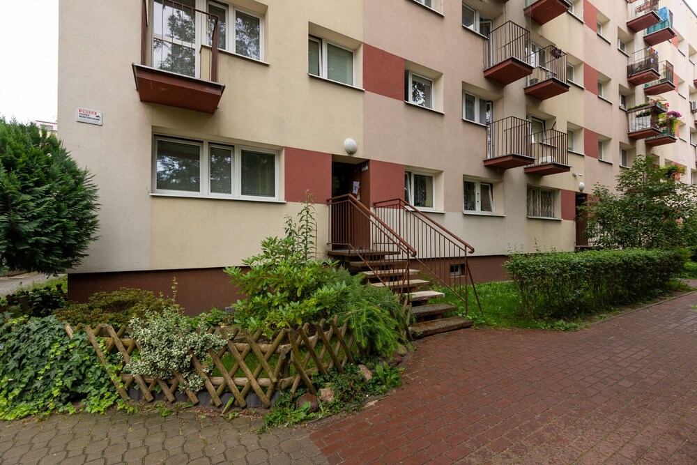 Photo 51