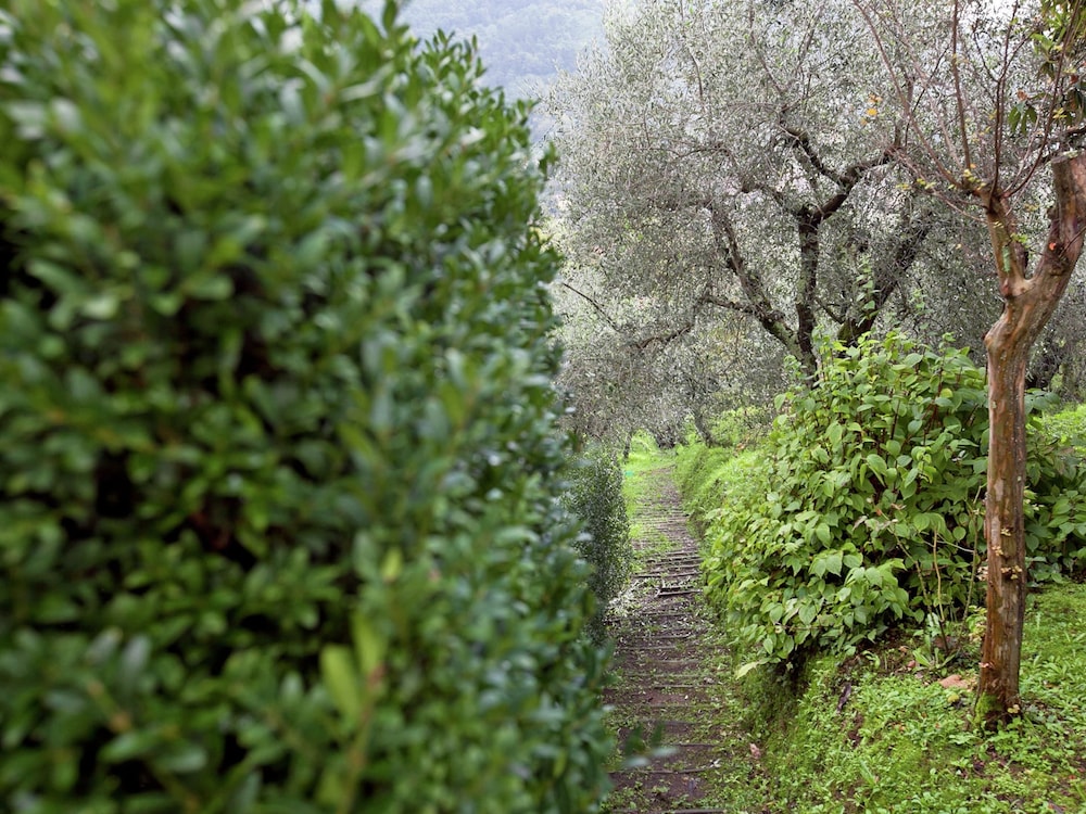 Belvilla by OYO Valleriana photo 5