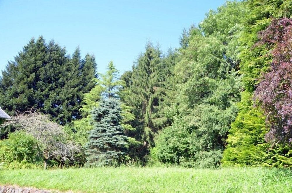 La Source du Mont